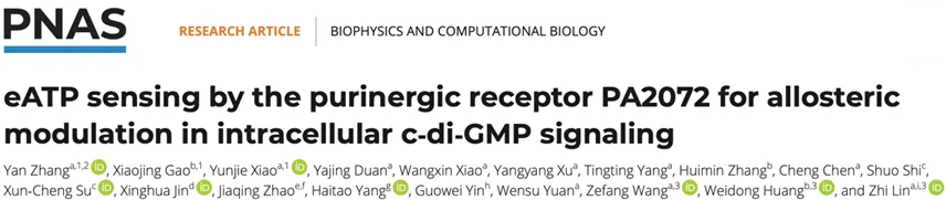 First page of the PNAS paper: eATP sensing by the purinergic receptor PA2072 for allosteric modulation in intracellular c-di-GMP signaling, by Yan Zhang, Zhi Lin and co-authors