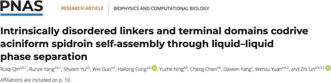 First page of the PNAS paper: Intrinsically disordered linkers and terminal domains codrive aciniform spidroin self-assembly through liquid–liquid phase separation, by Ruiqi Qin, Zhi Lin and co-authors